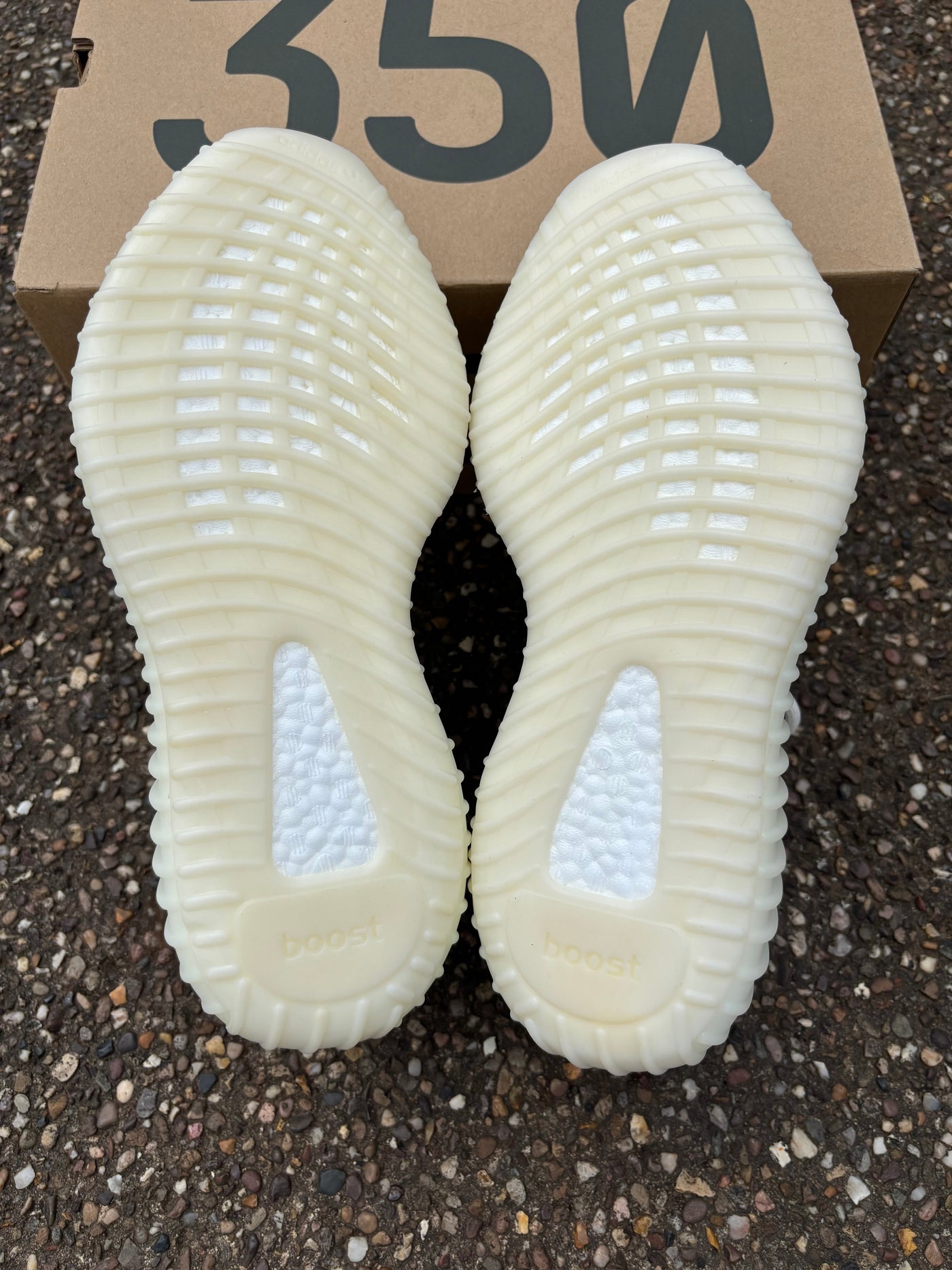 Yeezy Boost 350 V2 Bone